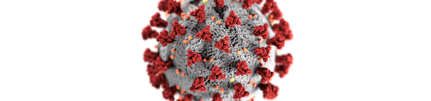 COVID-19 Molecule Image