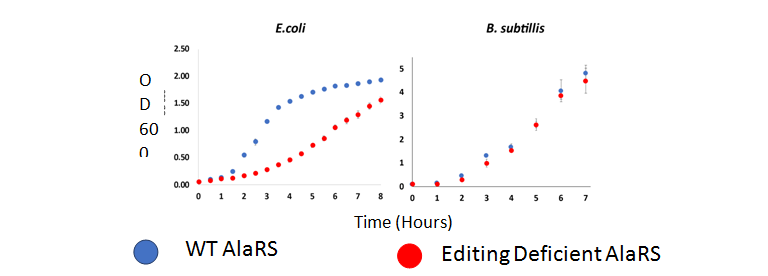 Growth Deficiency charts between E.coli and B.subtillis 