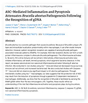 ASC-Mediated Inflammation and Pyroptosis Attenuates landing page