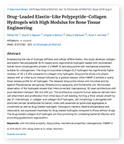 Drug-Loaded Elastin-Like Polypeptide-Collagen Hydrogels landing page