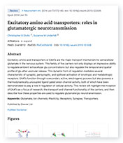 Excitatory amino acid transporters landing page