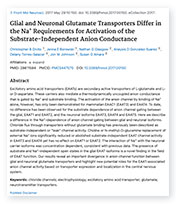 Glial and Neuronal Glutamate Transporters landing page